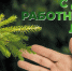 Картинка С днем работника леса - Даровской район
